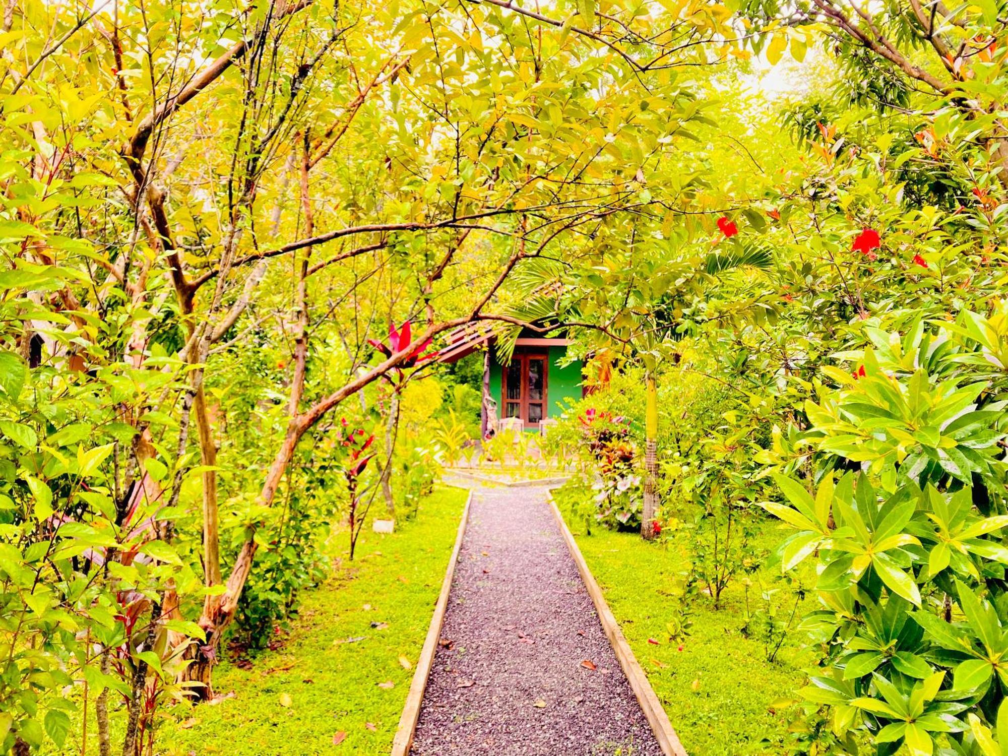 Suncity Privacy Cottages 达瓦拉维 外观 照片