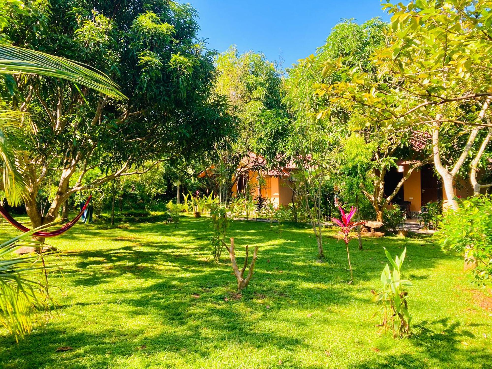 Suncity Privacy Cottages 达瓦拉维 外观 照片